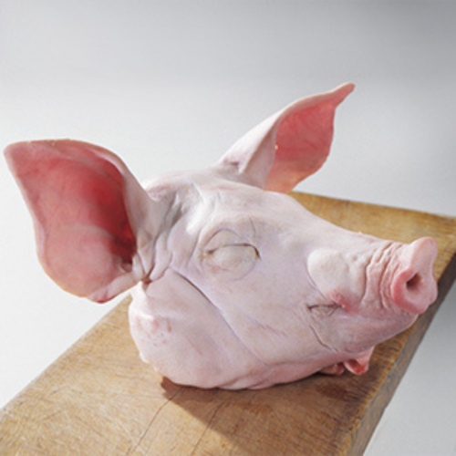 PG26. ဝက်ခေါင်းသား 1ea