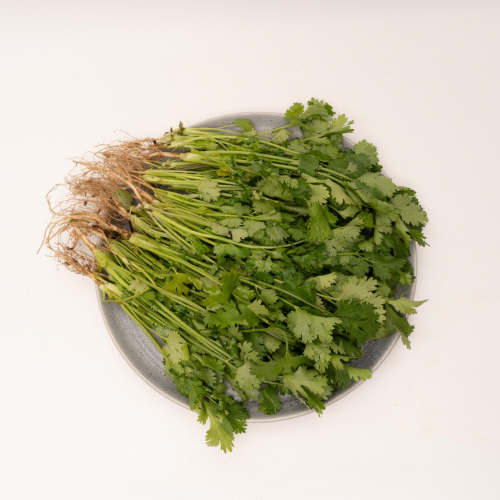 V21. နံနံပင် 1pack