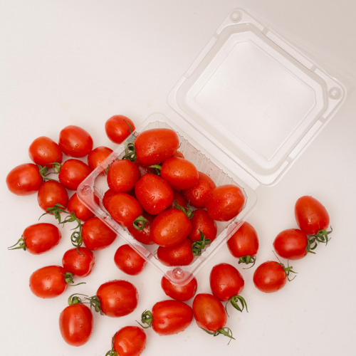 V22. ခရမ်းချဉ်သီးအသေး 1pack