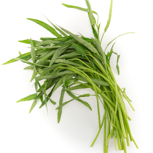 V32. ကန်စွန်းရွက် 500g