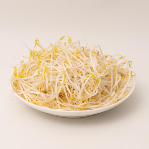 V37. ပဲပင်ပေါက် 1pack