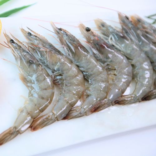 SE01-03. ပုစွန် 3040 2kg