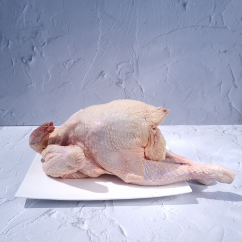 CK04. ကြက်မာ 1ea