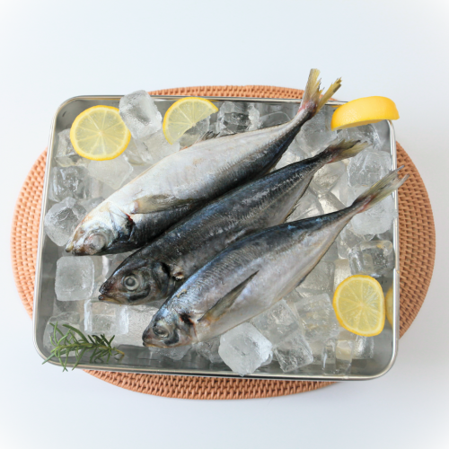 SE03. ငါးကွမ်းရှပ် 1kg