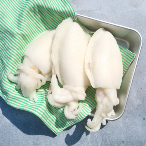 SE12. ပြည်ကြီးငါးကြီး ★BIG★ 1pack