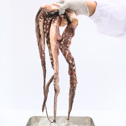 SE17. ပြည်ကြီးငါးခြေထောက် 1kg